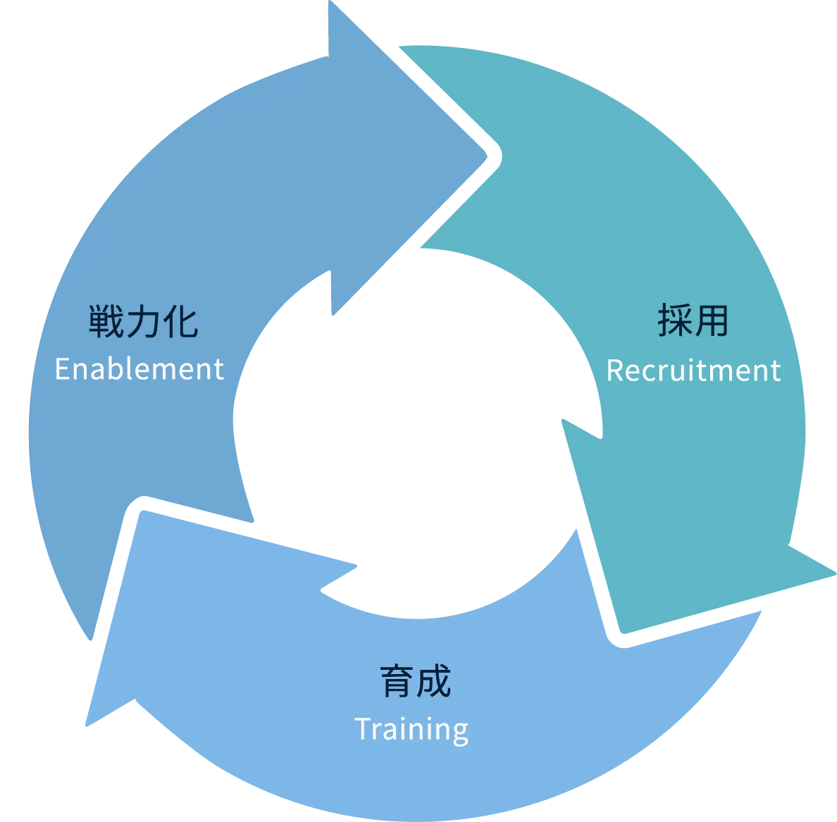 図：採用→育成→戦力化のサイクル